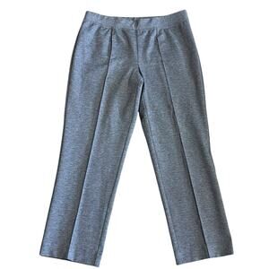 Alfred Dunner Slim Fit Pull On Casual Dress Pants Pewter Gray Pintuck Womens 12P